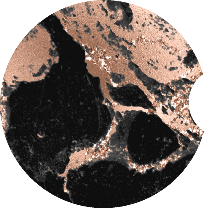 Black and Rose Gold Car Coaster