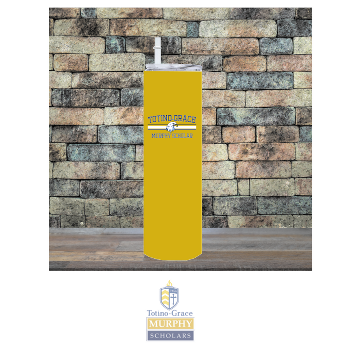 20oz Stainless Steel Tumbler